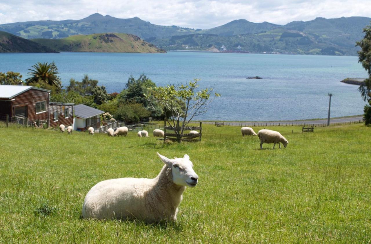 Roselle Farm Cottage Portobello Dış mekan fotoğraf