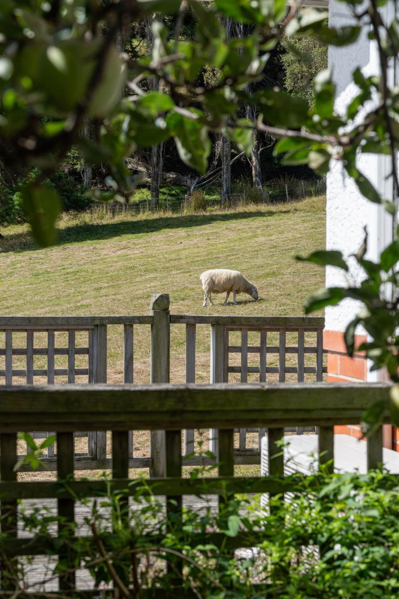 Roselle Farm Cottage Portobello Dış mekan fotoğraf
